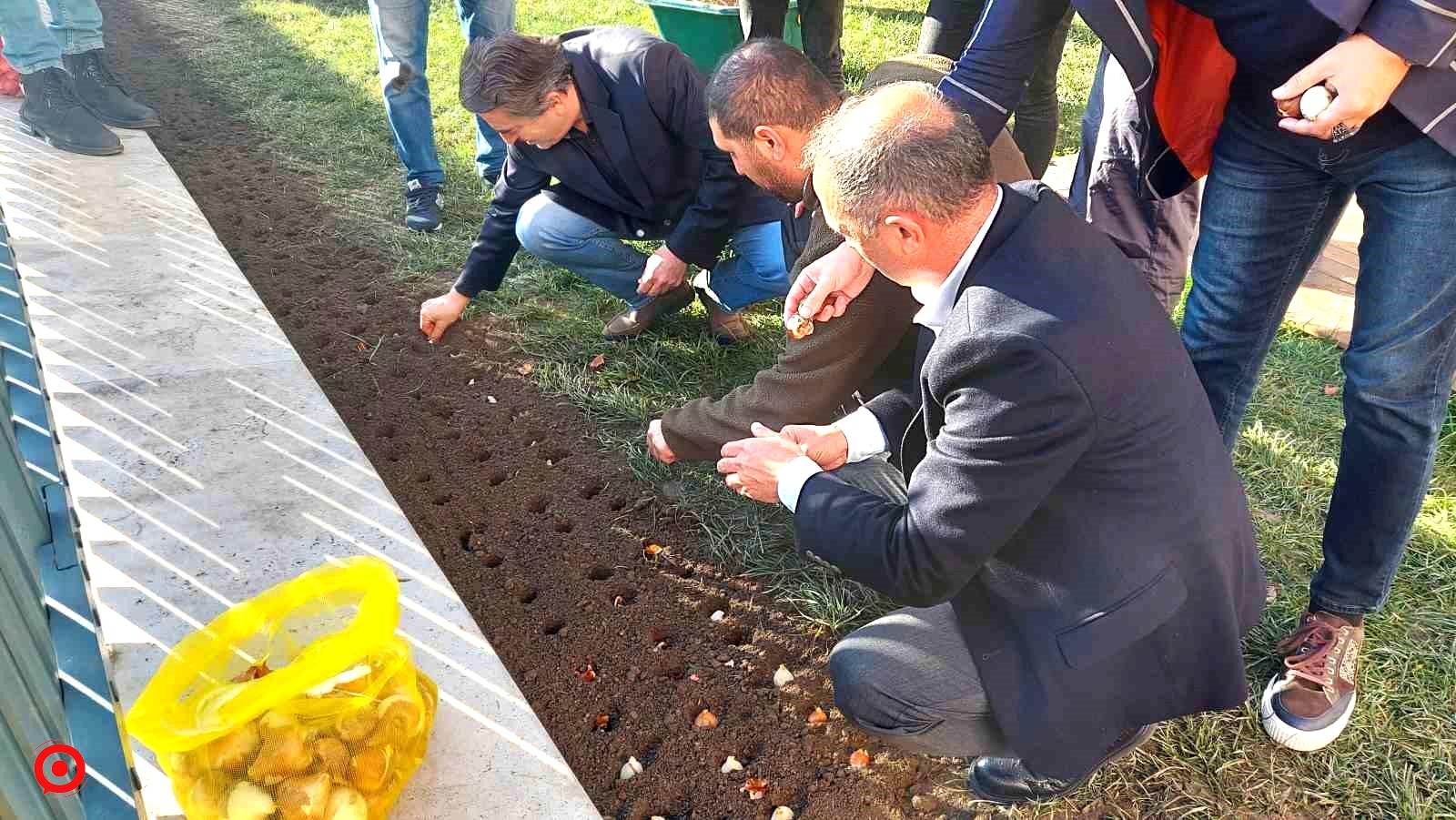 Baharı müjdeleyecek olan laleler Beyoğlu’nda toprağa dikildi