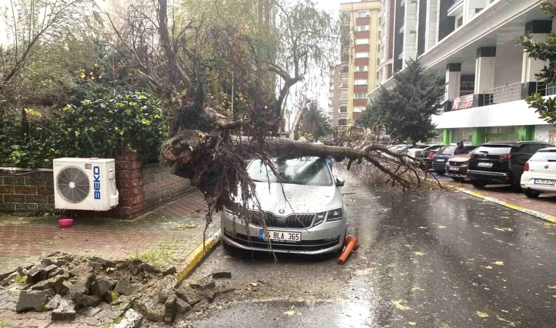 Beylikdüzü’nde şiddetli rüzgar nedeniyle