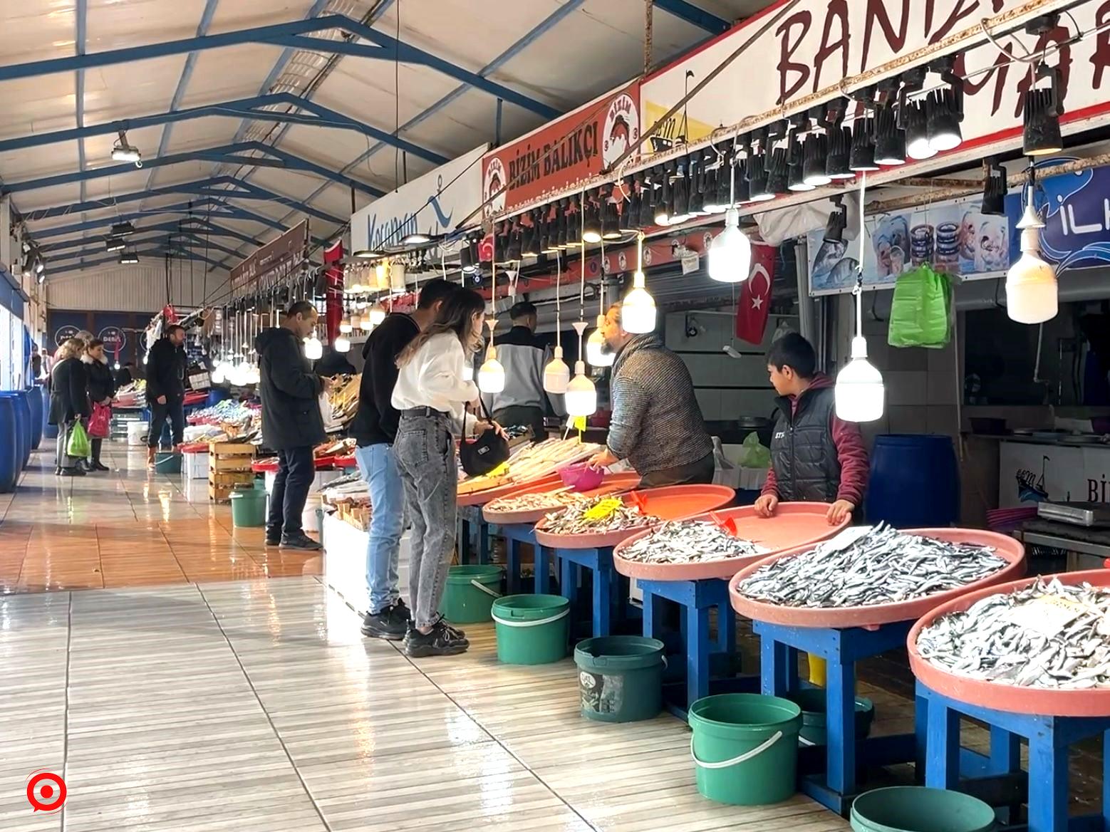 Büyük balık küçük balığı yiyemedi, hamsi bollaştı