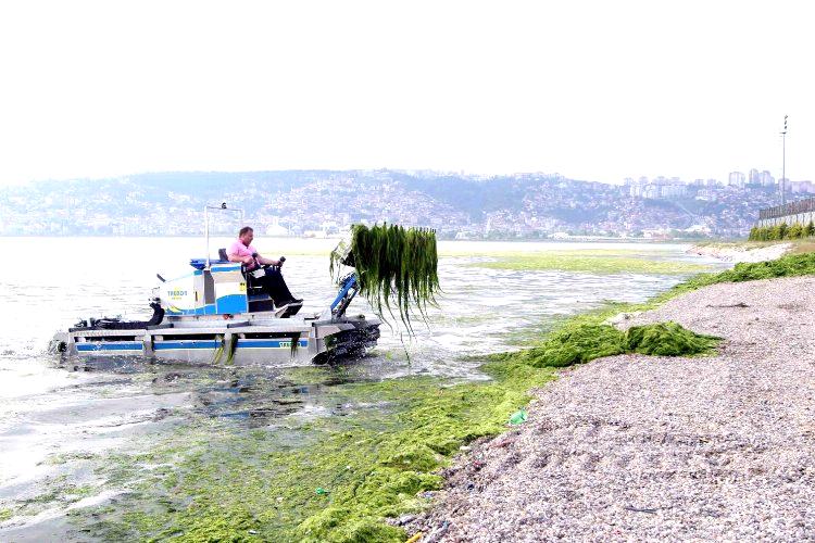 Kocaeli Büyükşehir Belediyesi ekipleri