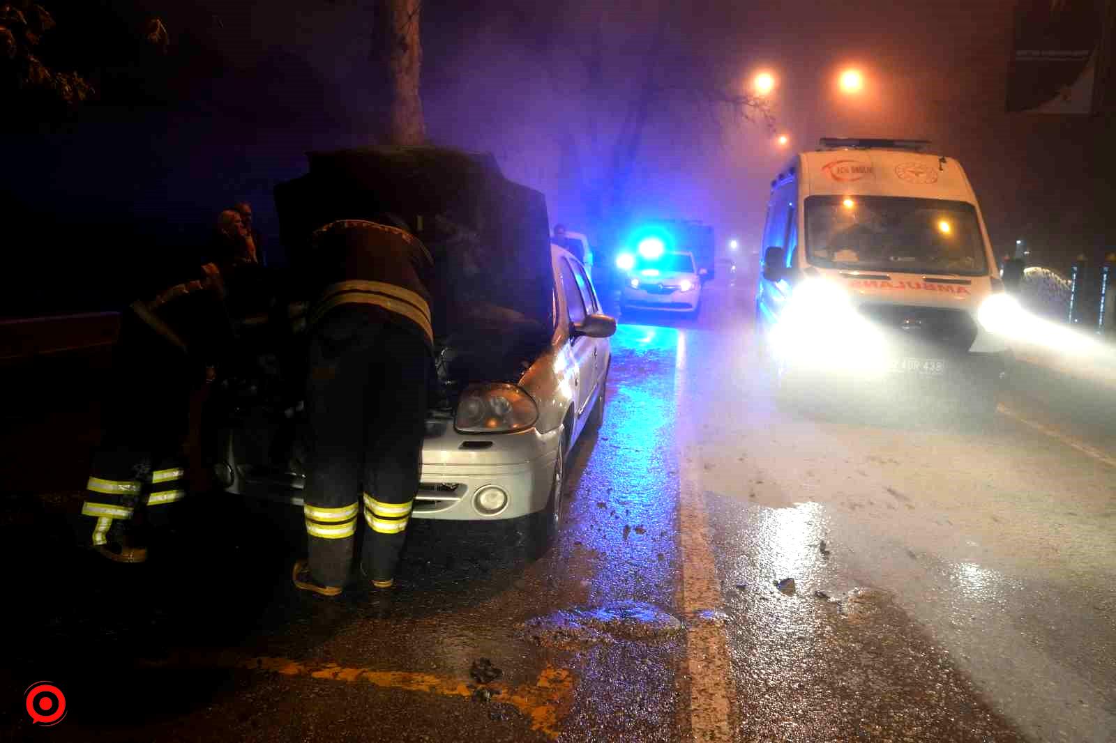 Edirne’de otomobil alevlere teslim oldu