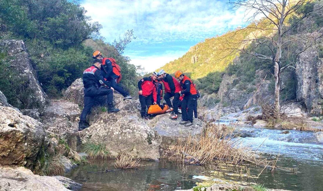 Kocaeli’nin Gebze ilçesinde kanyonda