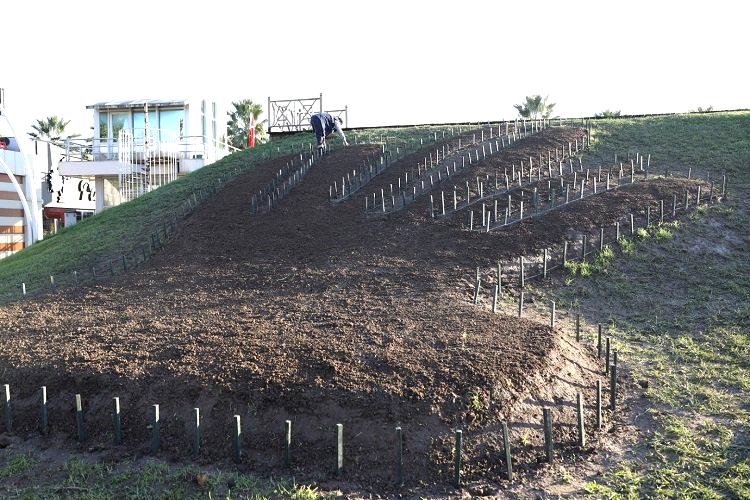 Kocaeli Büyükşehir’den kente estetik dokunuşlar