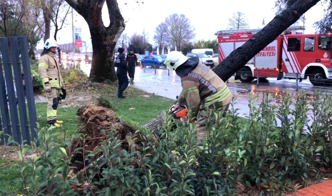 Maltepe kıyısında şiddetli rüzgarın