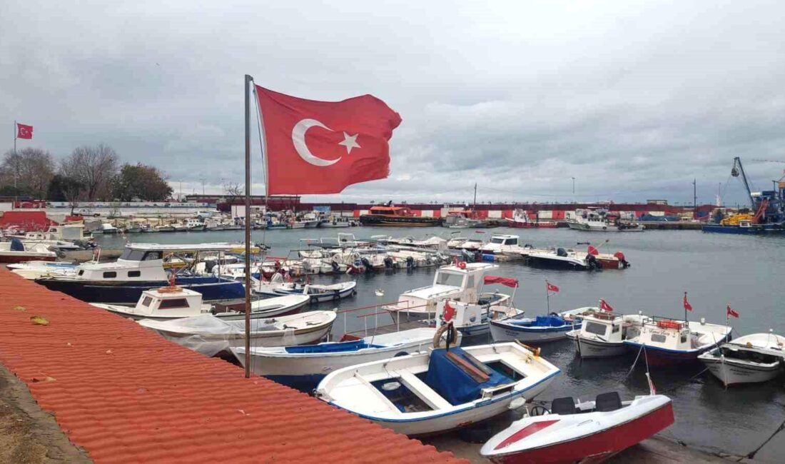 Marmara Denizi’nde tesirli olan