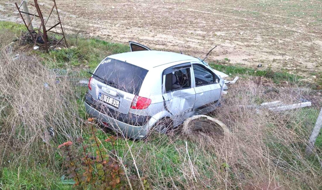 Tekirdağ’da önüne çıkan köpeğe