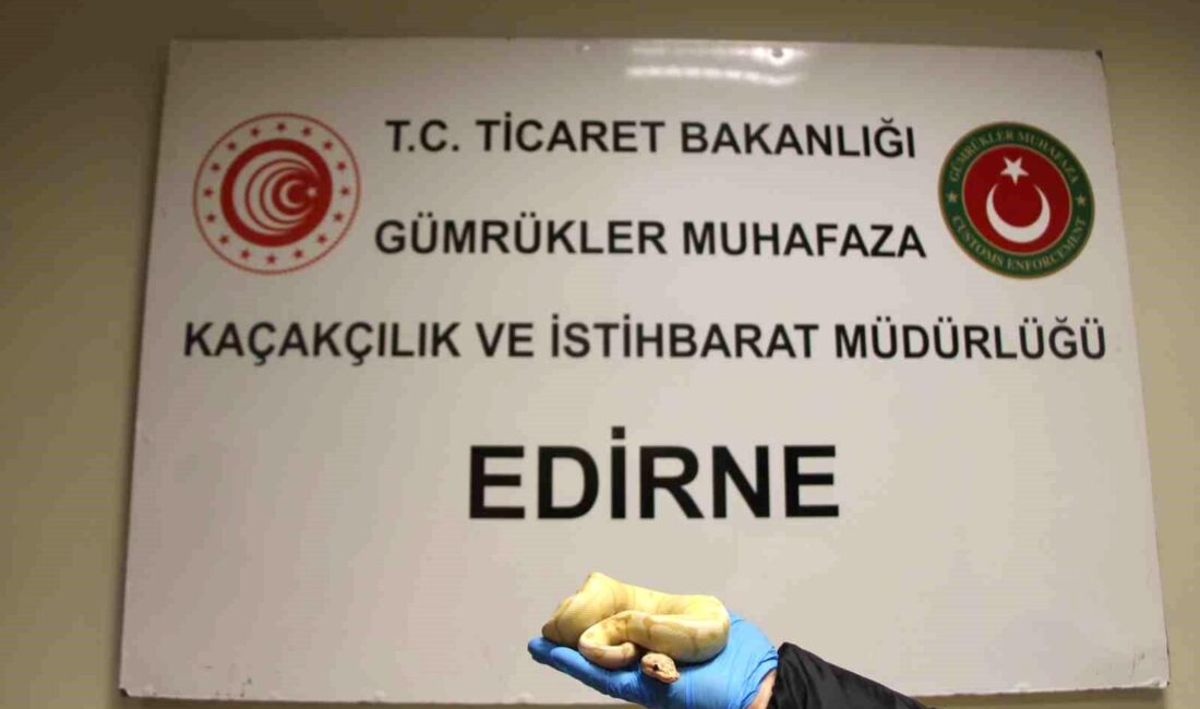 Edirne Kapıkule Gümrük Kapısı’nda