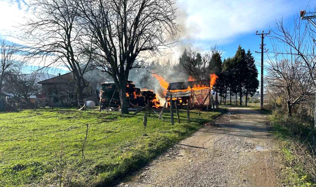 Sakarya’nın Akyazı ilçesinde bir