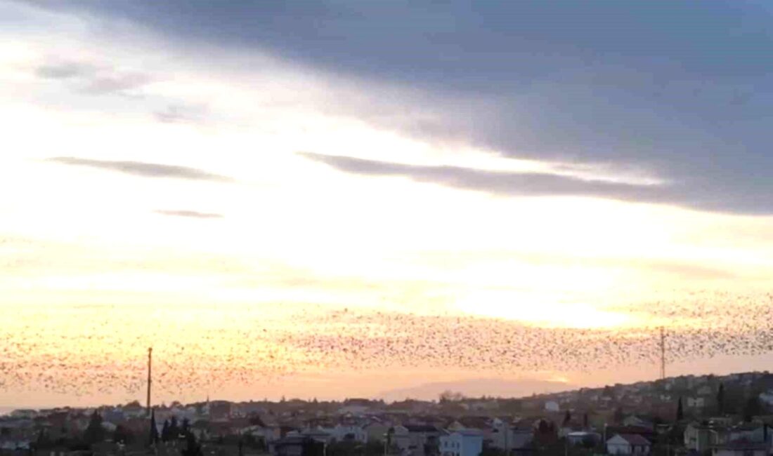 Tekirdağ’da günbatımıyla kızıllaşan kentin