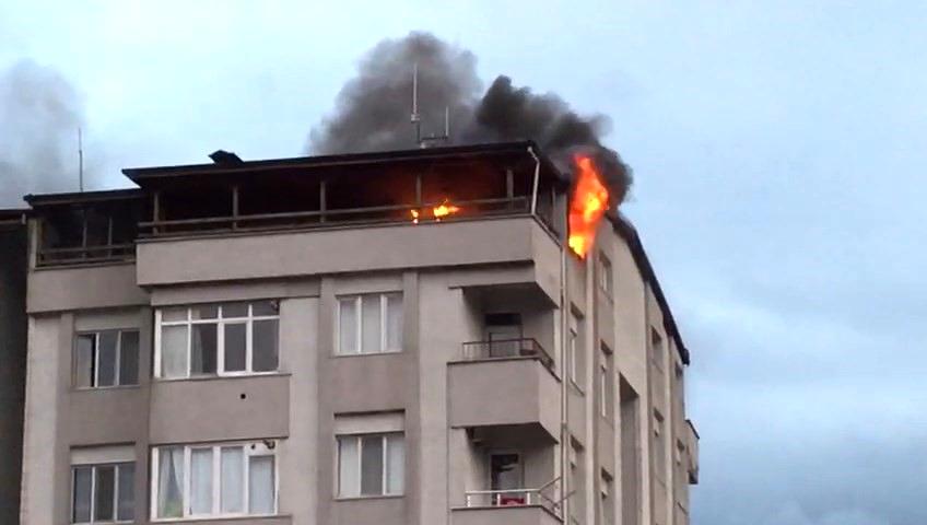 Kocaeli’nin Körfez ilçesinde 5