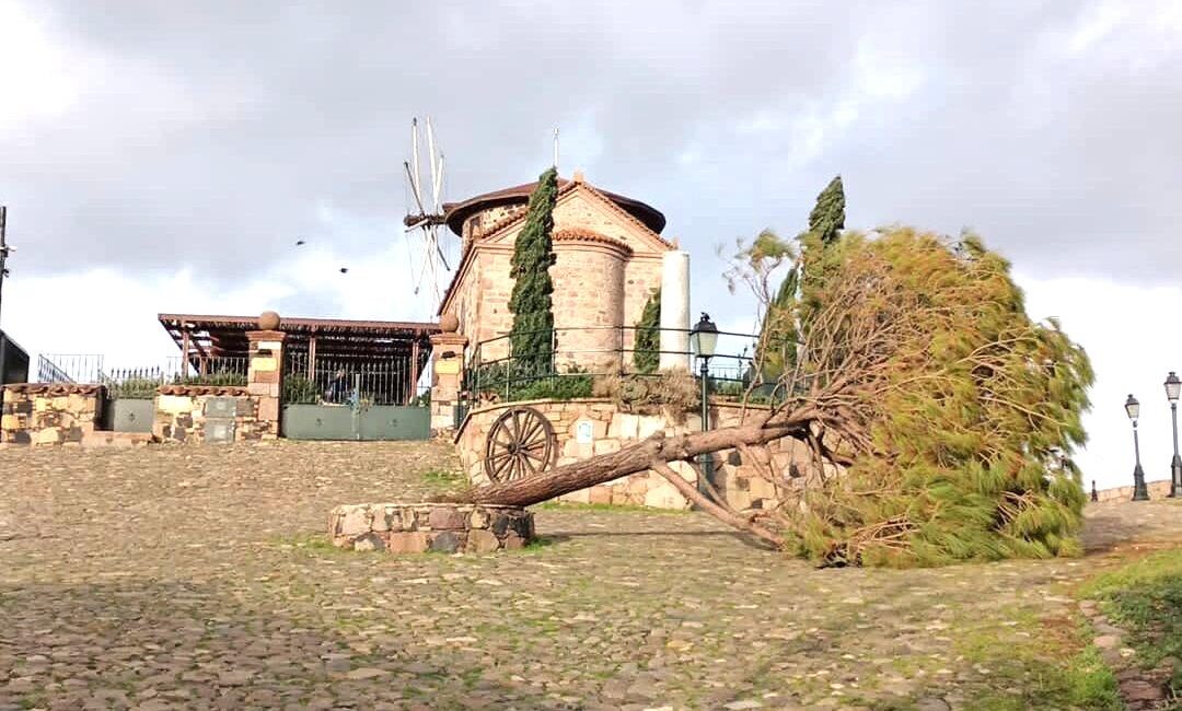 Balıkesir’in Ayvalık ilçesinde, şiddetli