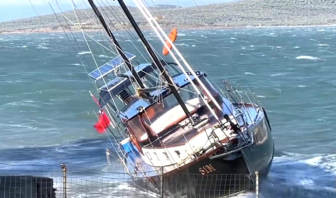 Balıkesir’in Ayvalık ilçesinde iki