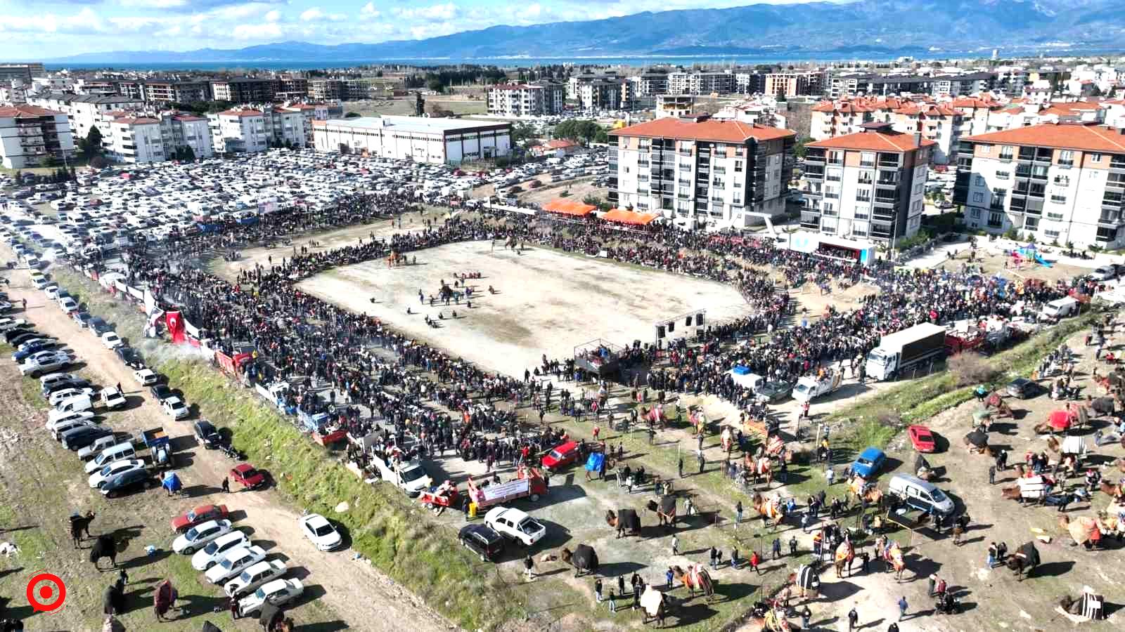 Balıkesir’de deve güreşini binlerce kişi izledi