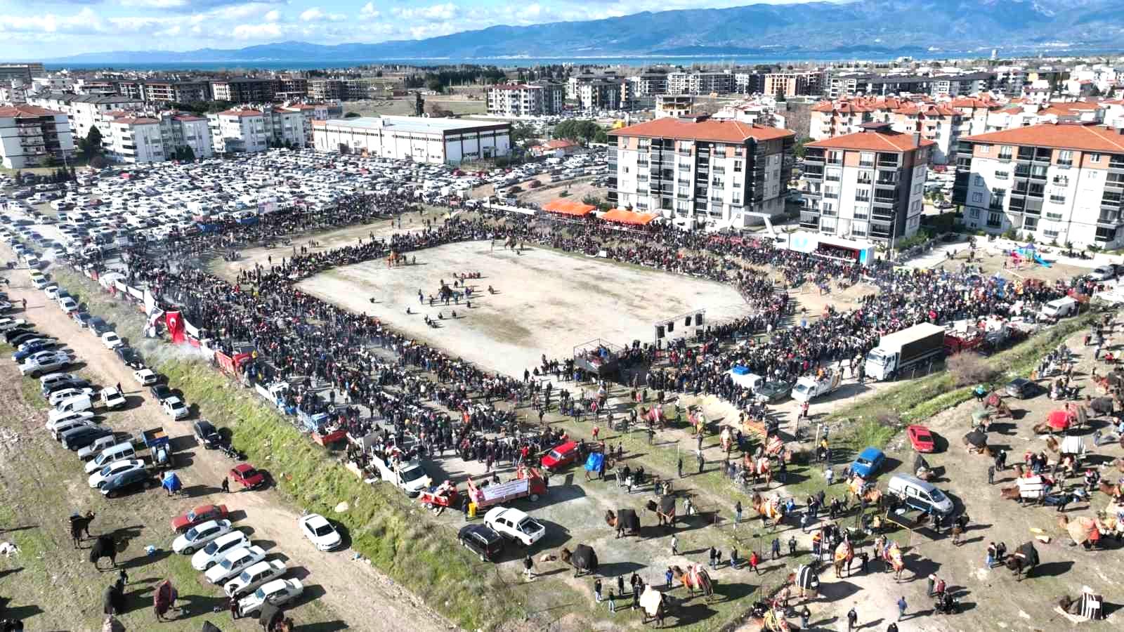 Balıkesir’de deve güreşini binlerce kişi izledi