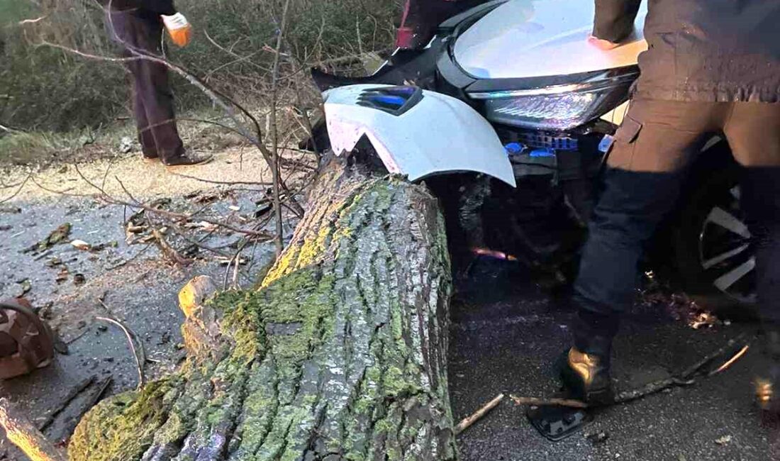 Çanakkale’nin Biga ilçesinde fırtına