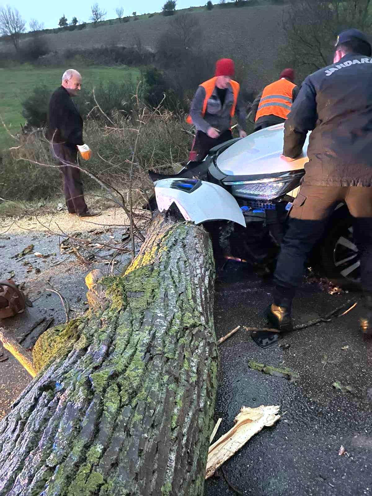 Biga’da otomobil fırtına nedeniyle yola devrilen ağaca çarptı