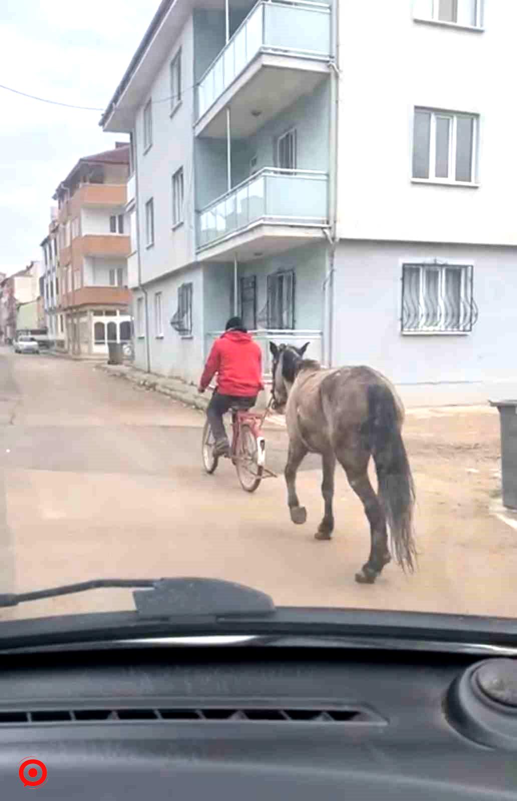 Bursa’da atı bisikletine bağlayarak götürdü