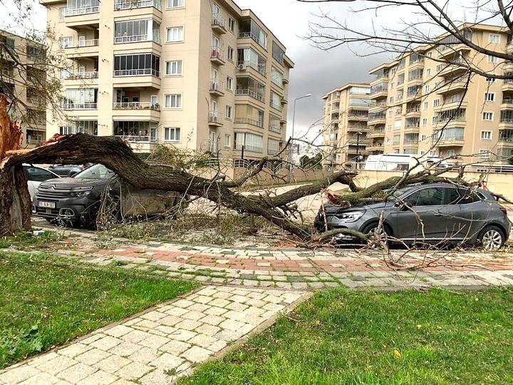 Bursa’da şiddetli lodos hayatı