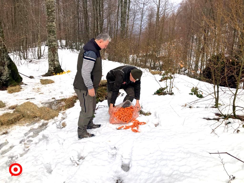 Bursa’da yaban hayvanlarına yem desteği