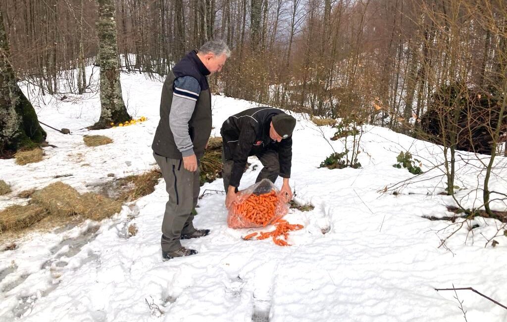 Tarım Orman Bakanlığı Doğa