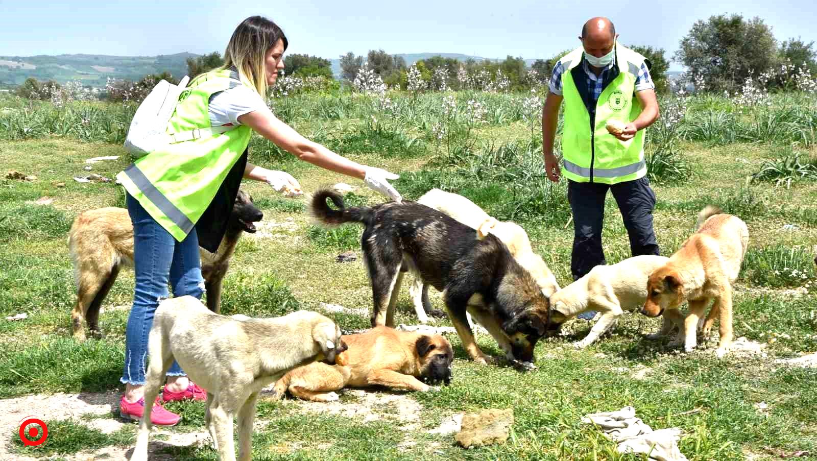 Can dostlara Büyükşehir şefkati