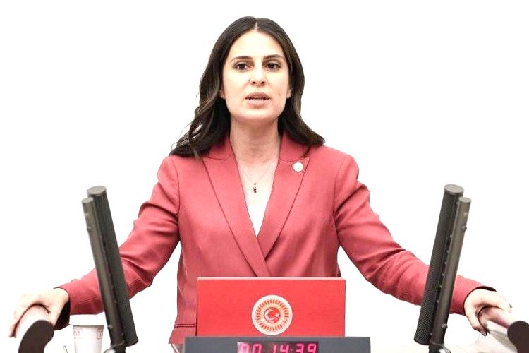 CHP Muğla Milletvekili Özcan: “Bu yatırım programı haksızlık sertifikasıdır”