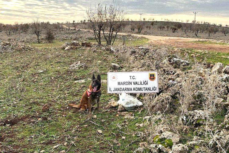 Mardin İl Jandarma Komutanlığınca