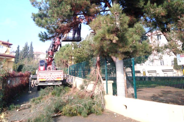 Dilovası Belediyesi Park ve