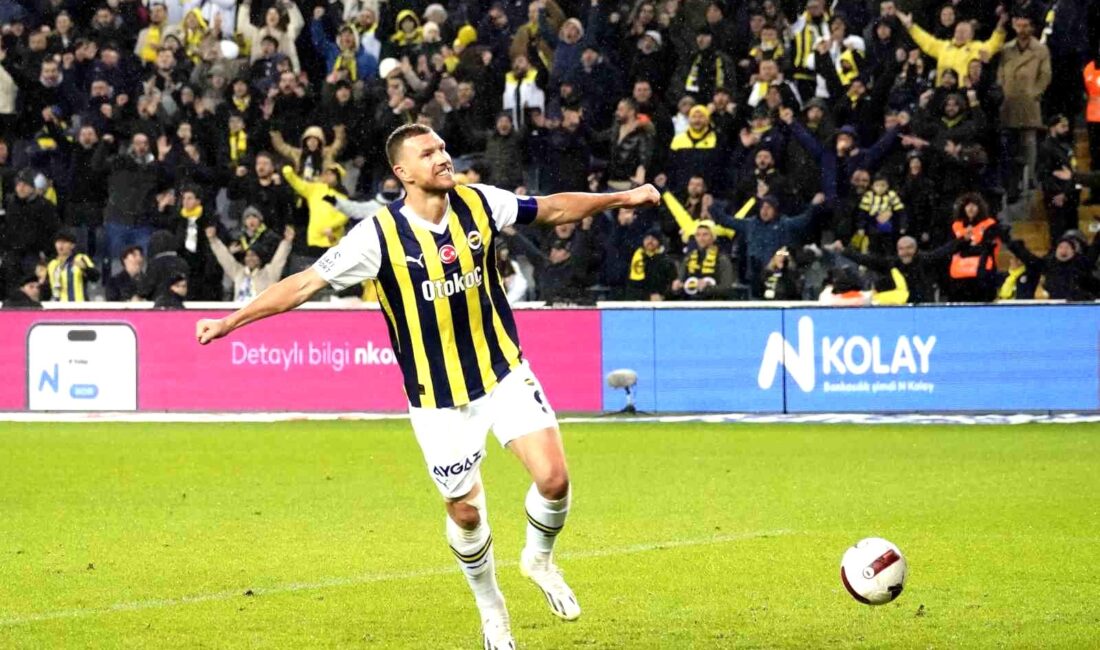 Fenerbahçe’nin Bosna Hersekli forveti