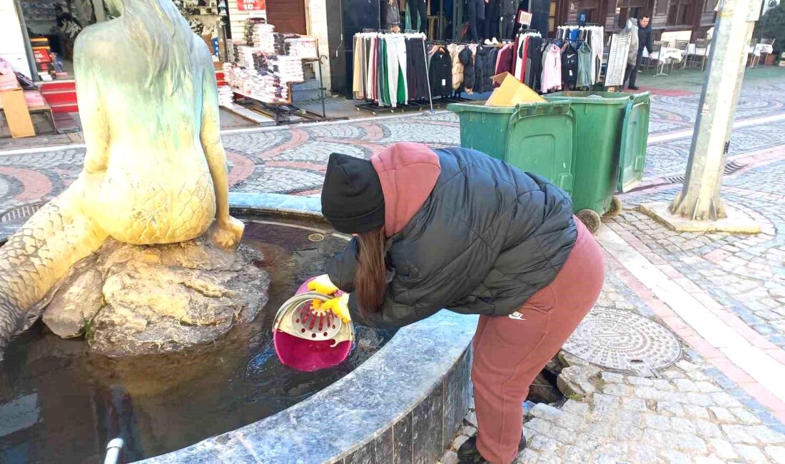 Edirne’de hava sıcaklığının eksi