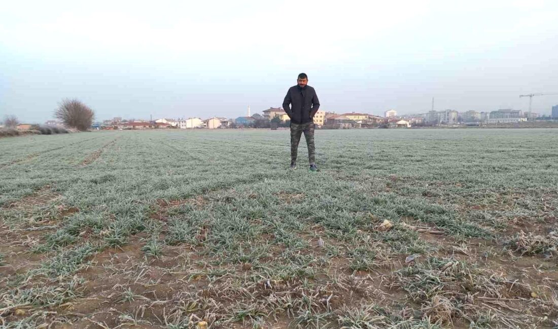 Edirne’de hava sıcaklıklarının sıfırın