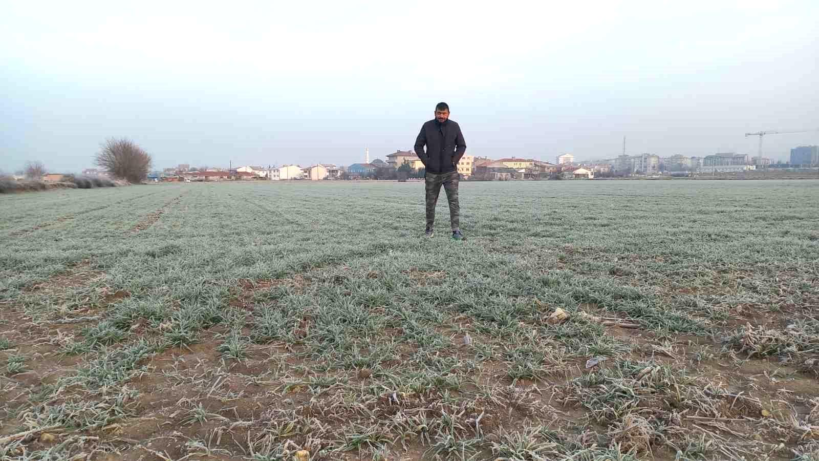 Edirne’de tarım arazileri buz tuttu