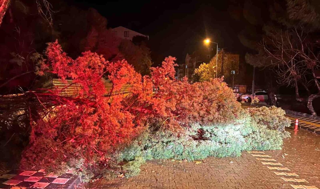 Çanakkale’nin Ezine ilçesinde fırtına