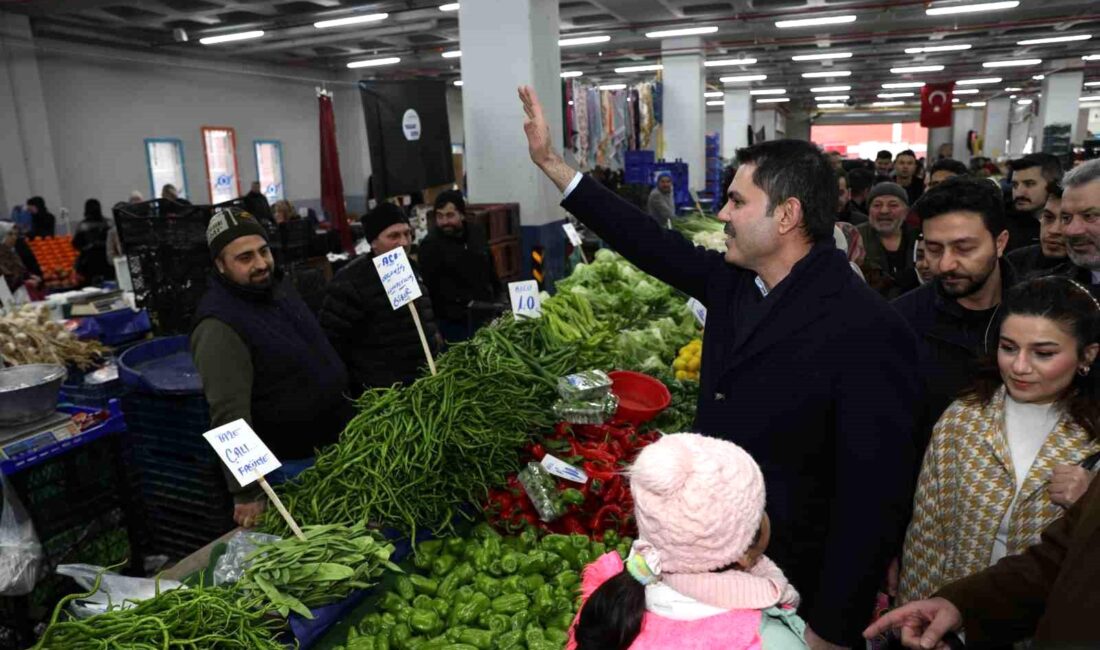 İstanbul Büyükşehir Belediye (İBB)