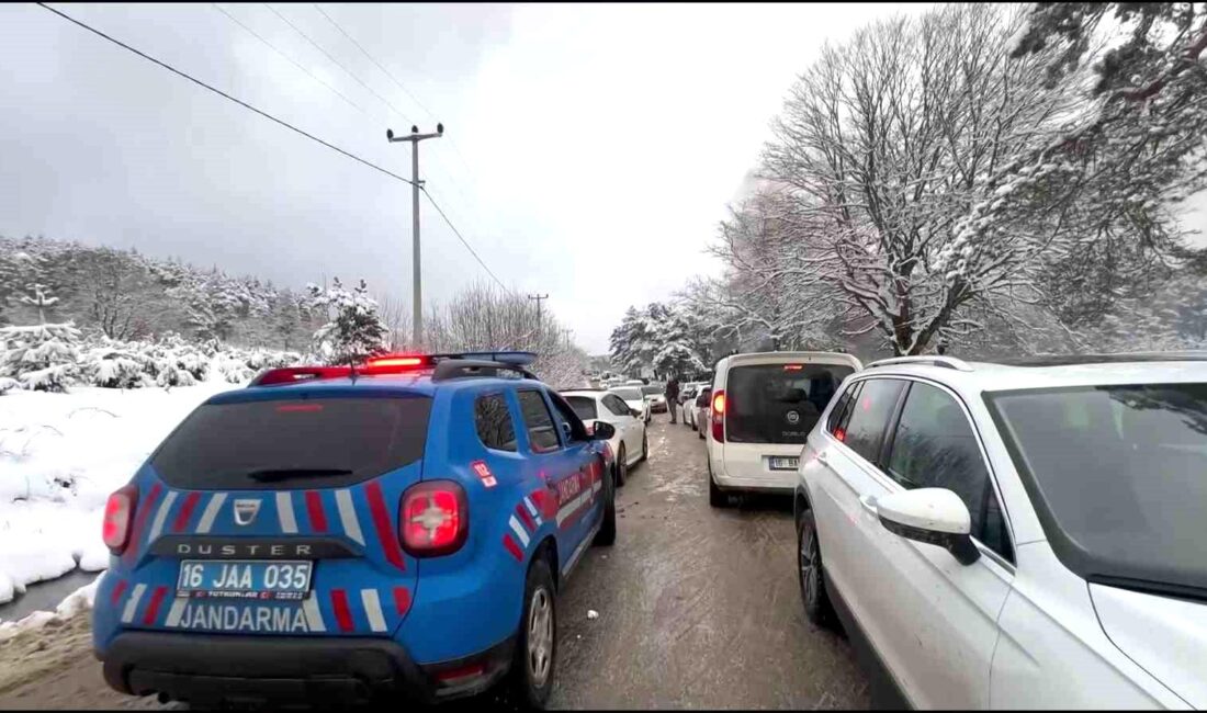 Bursa’nın İznik ilçesinde jandarma