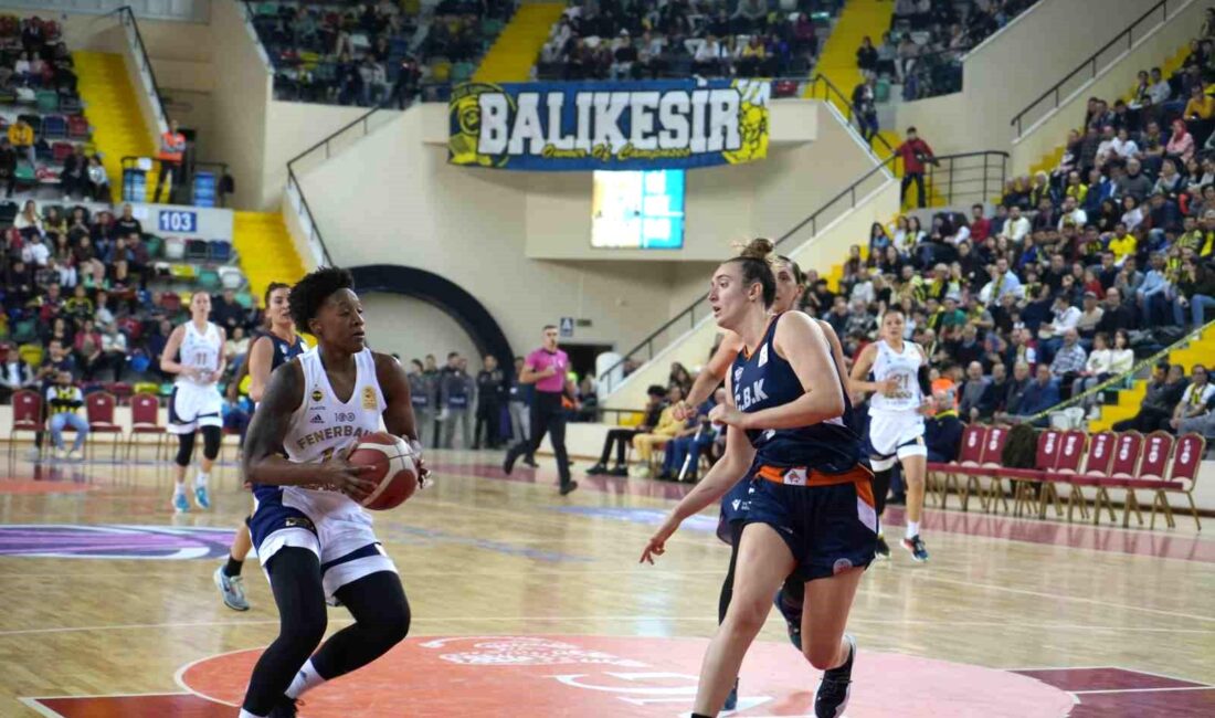 Basketbol ING Kadınlar Türkiye