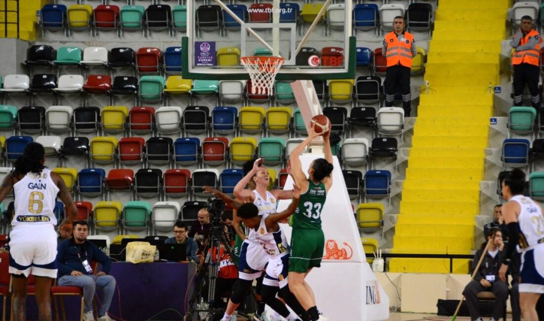 Basketbol ING Kadınlar Türkiye