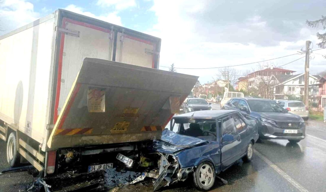 Sakarya’nın Sapanca ilçesinde kamyonet