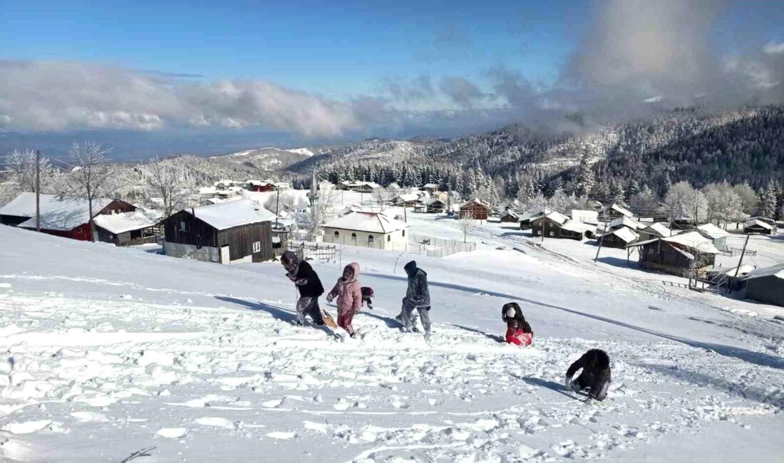 Sakarya’da bin 725 rakımlı