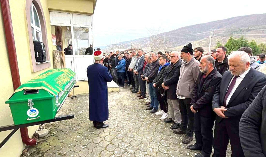 Sakarya’nın Hendek ilçesinde kamyonla