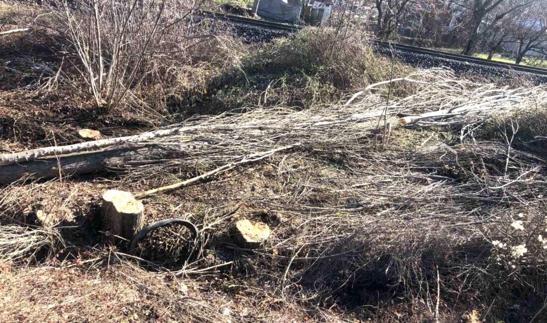 Bilecik’in Pazaryeri ilçesinde tarlada