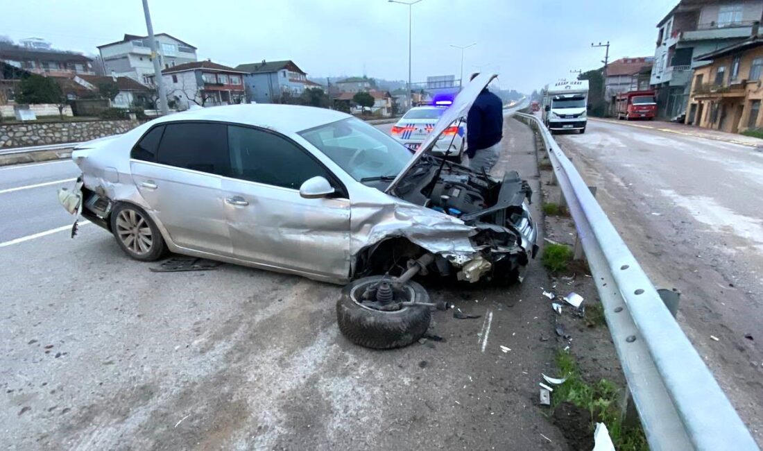 Kocaeli’de sürücüsünün köpeğe çarpmak