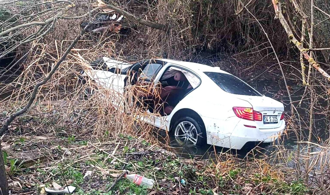 Sakarya’nın Pamukova ilçesinde sürücüsünün