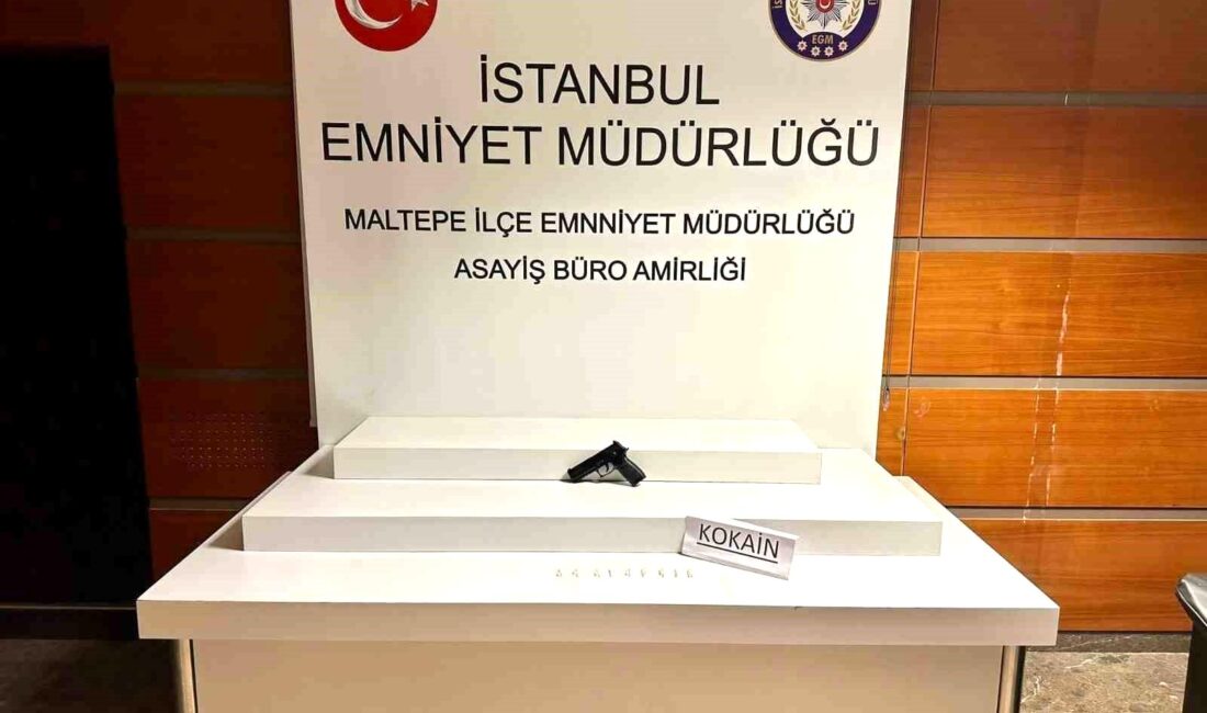 Maltepe’de yol kenarında bekleyen