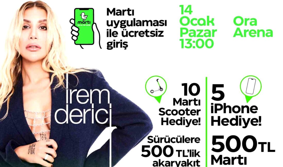 Martı, İstanbul’da 100 bin