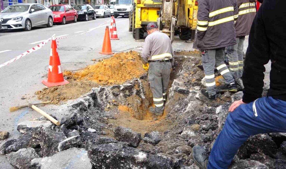 Pendik’te cadde üzerinde bulunan