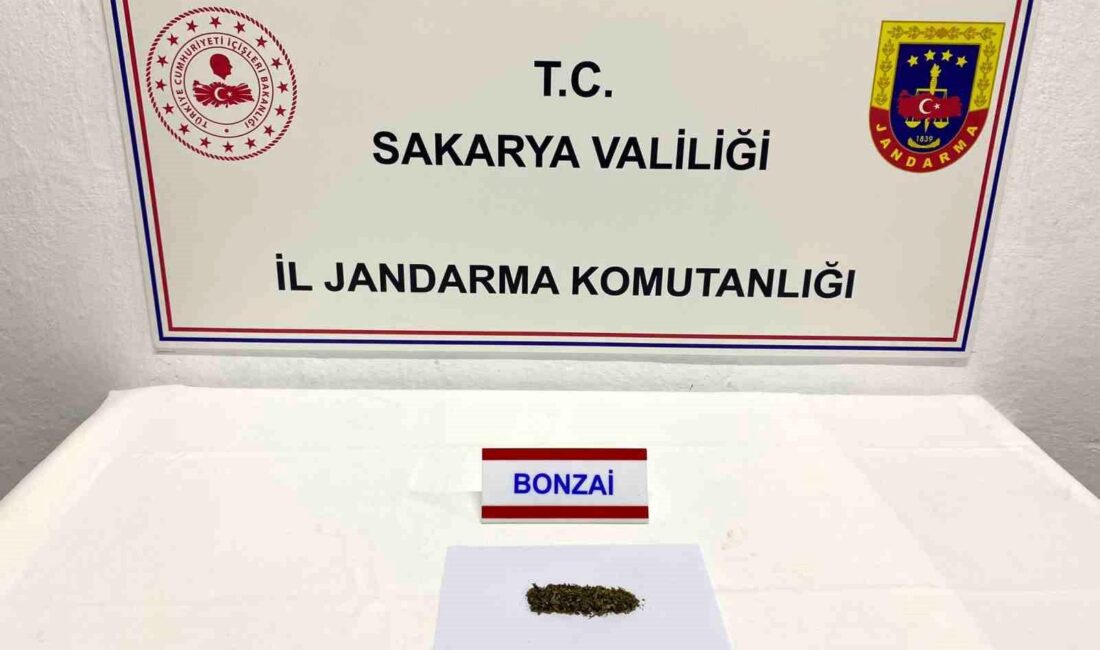 Sakarya’da jandarma ekiplerince iki