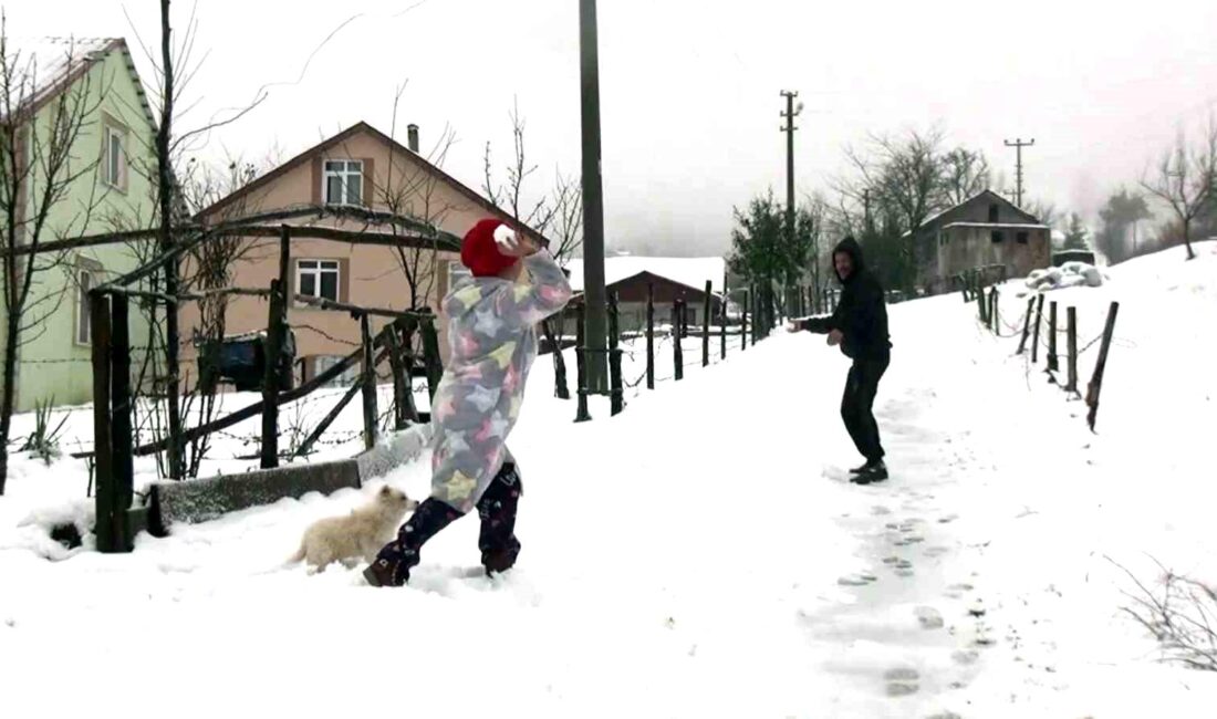 Sakarya’nın Hendek ilçesinde bulunan