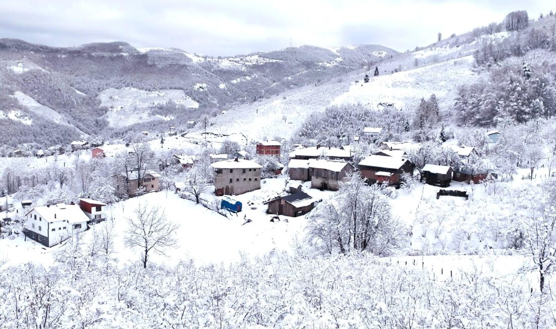 Sakarya’nın yüksek kesimleri beyaz