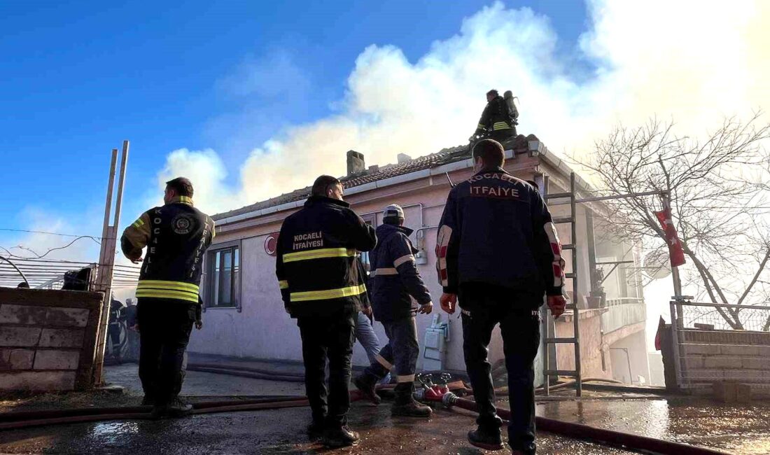 Kocaeli’nin İzmit ilçesinde tek